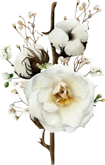 Watercolor White Floral Bouquet